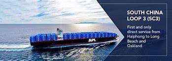 Image result for APL Shipping Logo