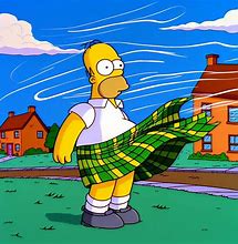 Image result for Wind Kilt