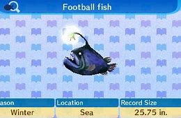 Image result for Animal Crossing New Leaf Fish