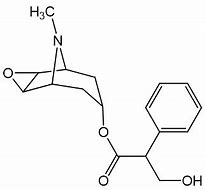 Image result for Scopolamine