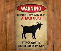 Image result for Sick Goat Funny