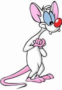 Image result for Pinky Cartoon Character