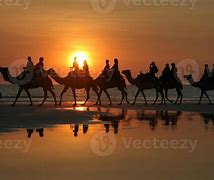 Image result for Broome Sunset Camel Ride