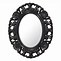 Image result for Black Baroque Mirror