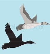 Image result for Goose Vector