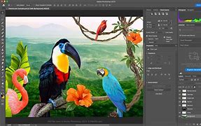 Image result for PSD Pictures for Photoshop