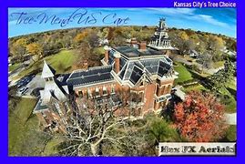 Image result for Trees in Kansas City Area