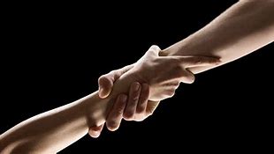 Image result for Hand Holding Ant