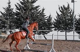 Image result for bad horse riding