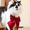 Image result for Sora Cat Sony