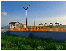 Image result for Agrowisata Ngalor Kalo Manggarai Barat