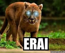 Image result for Erai Meme