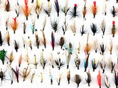 Image result for Fly Fishing Flies Sport