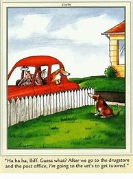 Image result for Far Side Animals