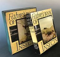 Image result for Insect Book by Fabre