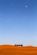 Image result for Camels Desert Image Free