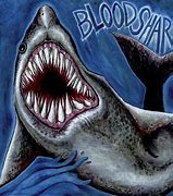 Image result for Finned Shark No Blood