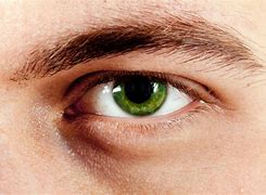 Image result for 10 Green Eyes