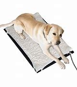 Image result for Heated Pet Mats