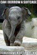 Image result for Cute Funny Baby Elephant