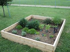 Image result for Backyard Homestead