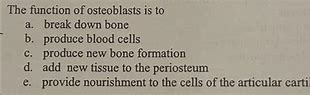 Image result for Osteoblasts in Bone