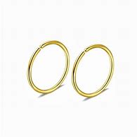 Image result for Punk Nose Ring