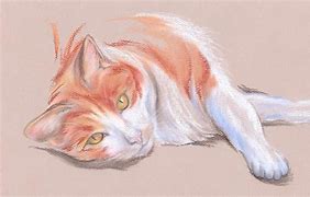 Image result for Orange Tabby Cat Drawing