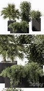 Image result for Outdoor Boxit Plant