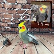 Image result for Bird Stuffed Animal