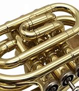 Image result for Selman Pocket Trumpet