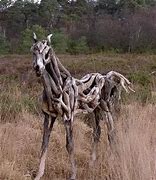 Image result for SCP Skeleton Horse