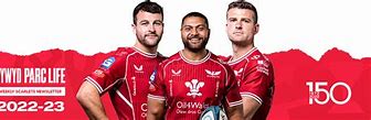 Image result for James Davies Rugby Scarlets PNG