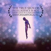 Image result for The True Sign of Intelligence Is Imagination