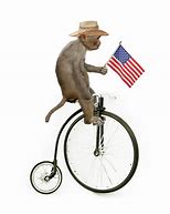 Image result for Human Riding a Monkey