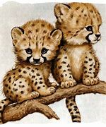 Image result for Draw so Cute Cheetah