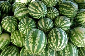 Image result for Tunisian Fruit