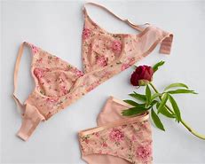 Image result for Tassled Bra