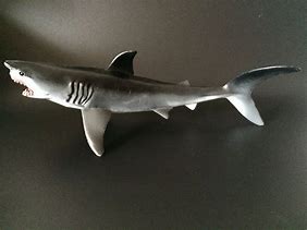 Image result for Tiger Shark Toys