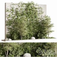 Image result for Outdoor Boxit Plant