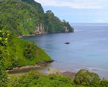 Image result for Isla Del Coco Diving