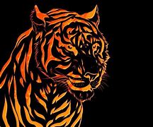 Image result for Sabertooth Tiger Skull Wallpaper