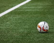 Image result for Rumput Bola