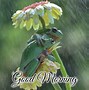 Image result for Good Morning Rainy Tuesday