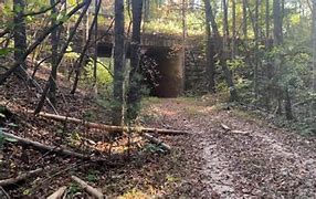 Image result for Forest Walk Path