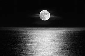 Image result for Black Moon