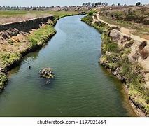 Image result for Upper Newport Bay Nature Preserve