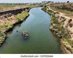 Image result for Upper Newport Bay Nature Preserve