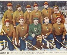 Image result for Bollnäs Bandy