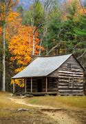 Image result for Cabin in the Woods Purge All